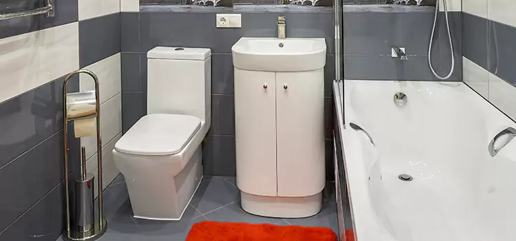 Hansgrohe Shaving Mirror Palm Beach Gardens